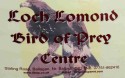 Loch Lomond Bird of Prey Centre