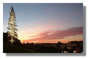 Edinburgh Christmas Tree