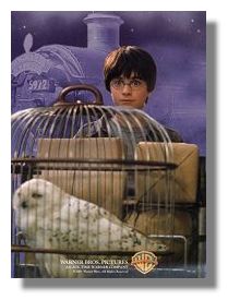 Snowy Owl and Harry Potter
