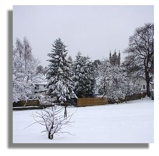 Snow Scene