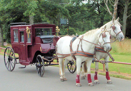 wedding Carriage